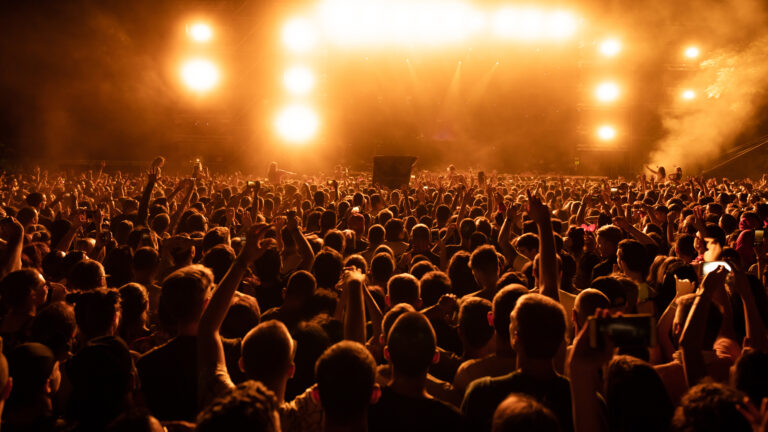 Rear view of audience on music festival at night